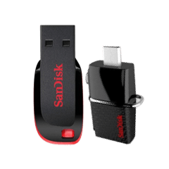 Sandisk
